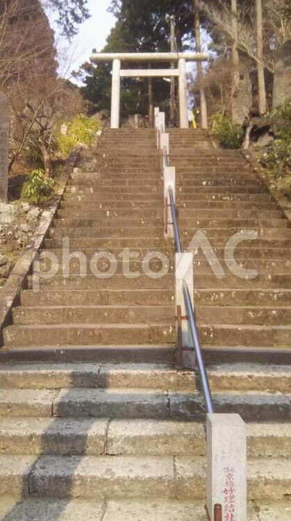 寺の階段 光,参道,山の写真素材