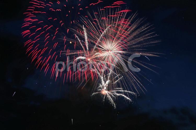 常滑市の夜空を飾るカラフルな打上げ花火 花火,夏,打上げ花火の写真素材
