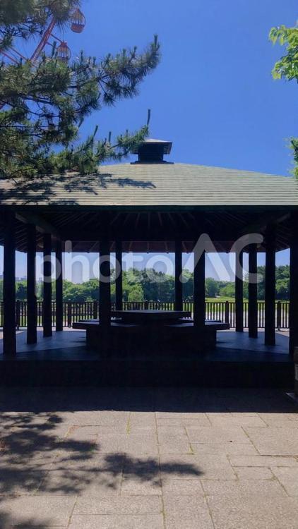 【葛西臨海公園】屋根付き休憩所(縦) 葛西臨海公園,休憩所,屋根付きの写真素材