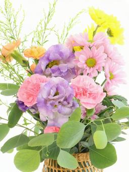 花瓶の花　１ 花,カーネーション,スプレー菊の写真素材