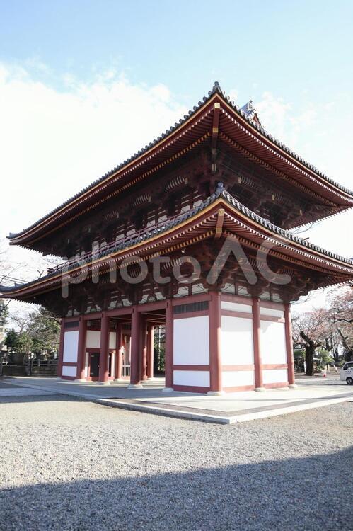 池上本門寺　仁王門 パワースポット,仁王門,名所の写真素材