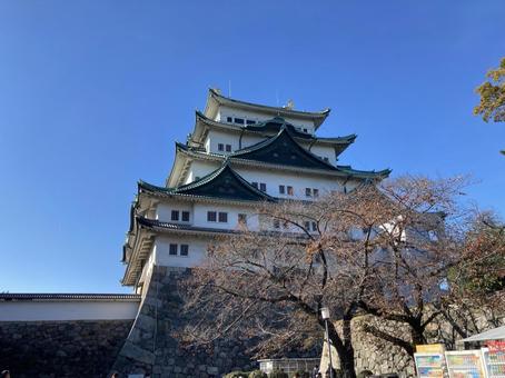 Nagoya Castle, JPG