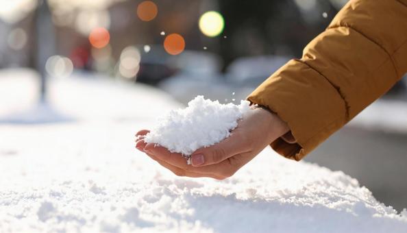 降ってきた雪を手に取る 降ってきた雪を手に取るの写真