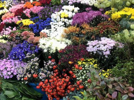 花屋 花屋の写真