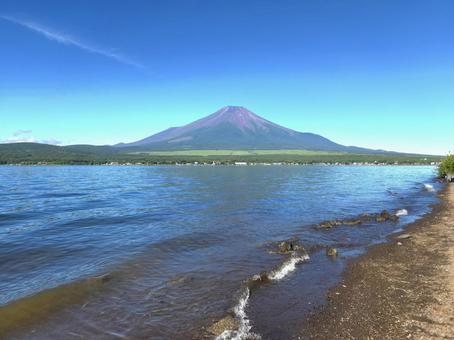 富士山と山中湖 富士山と山中湖 富士山,山中湖,富士五湖の写真素材