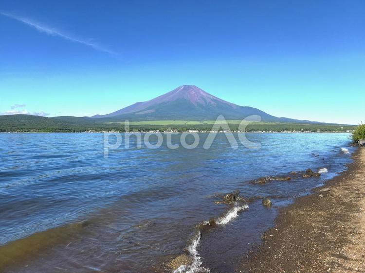 富士山と山中湖 富士山,山中湖,富士五湖の写真素材