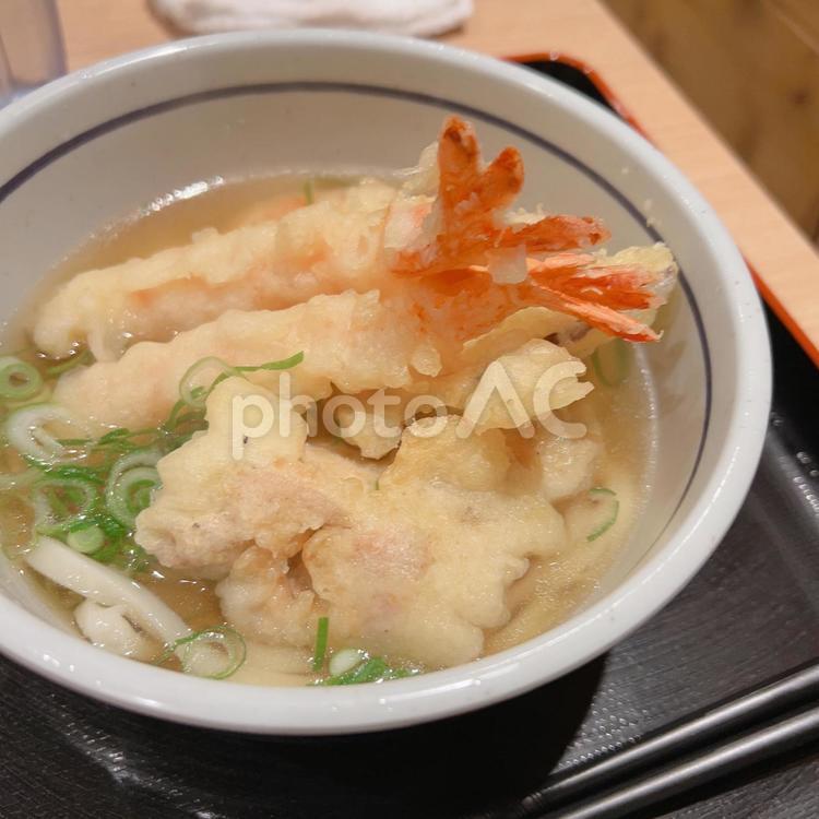 ミニうどん 天ぷらうどん,エビ,海老の写真素材