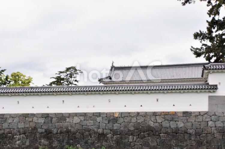 小田原城の櫓 櫓,小田原城,石垣の写真素材