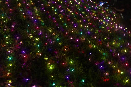 カラフルなイルミネーション イルミネーション,カラフル,ledの写真素材