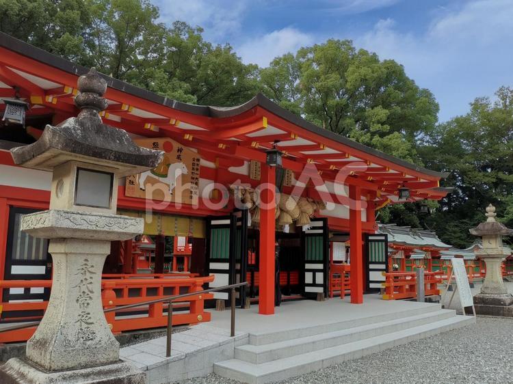 熊野速玉大社　社殿 熊野速玉大社,神社,世界遺産の写真素材
