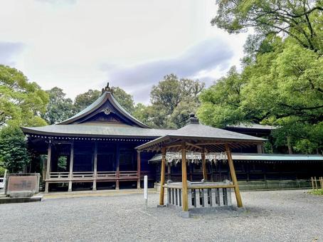 千栗八幡宮 趣のある,風情のある,木の写真素材