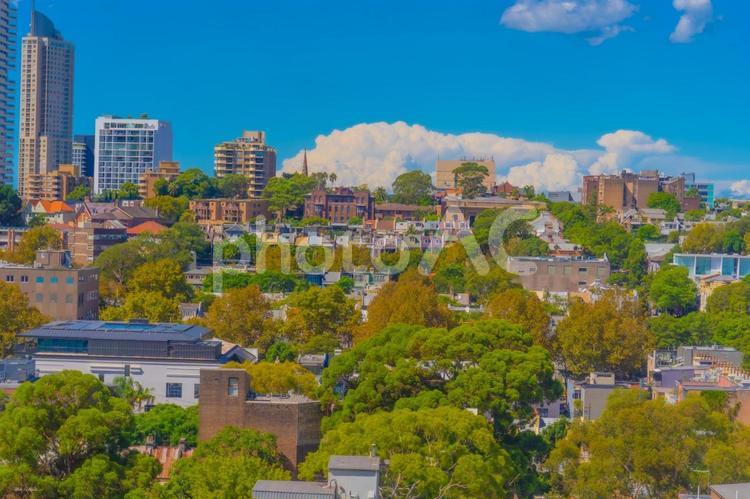 シドニーの住宅と木々 シドニー,住宅,木々の写真素材