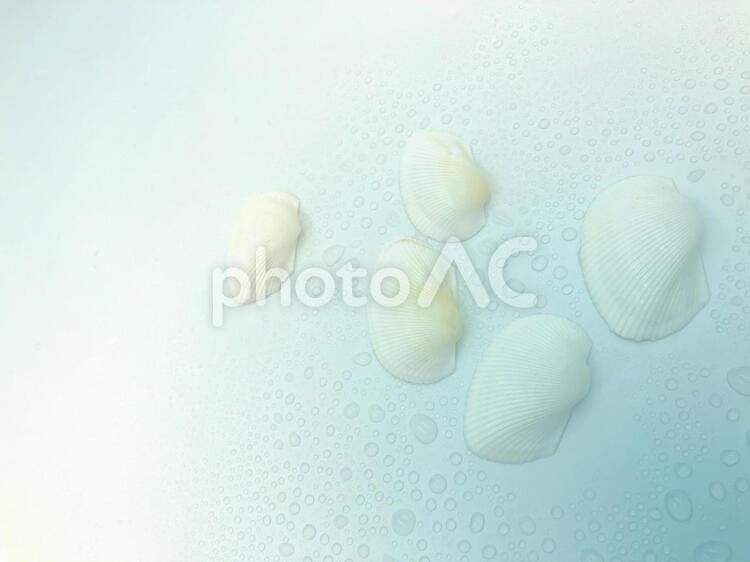 夏のイメージ 夏,真夏,夏のイメージの写真素材