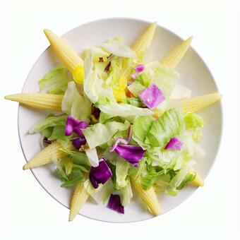ヤングコーンのサラダ サラダ,ヘルシー,野菜の写真素材