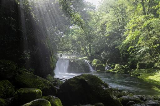 熊本-【菊池渓谷の光芒】 熊本-【菊池渓谷の光芒】 熊本,菊池渓谷,川の写真素材