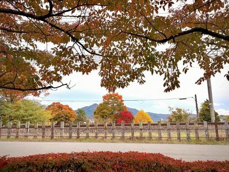 とある田舎町の線路沿いの風景(秋) 02 秋,紅葉,木々の写真素材