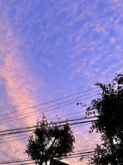 夕焼けの空とシルエットの木 夕焼けの空とシルエットの木 夕焼け,空,夕暮れの写真素材