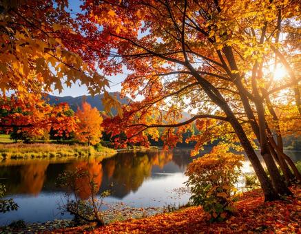 紅葉と 紅葉との写真