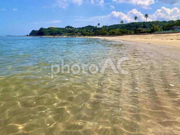 海水浴場（熊本県、天草、四郎ヶ浜ビーチ） 海水浴場,青空,椰子の木の写真素材