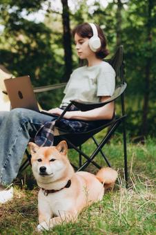 椅子に座り犬と並ぶ女性 女性,外国人,犬の写真素材