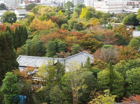 【風景写真】姫路城天守閣からの眺め 【風景写真】姫路城天守閣からの眺めの写真