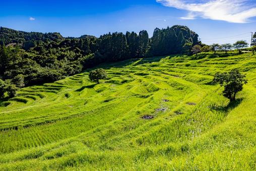 Photo, mountains and thousands of fields, blue sky, rice terrace, 