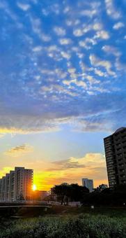 朝焼けの空 朝焼けの空の写真