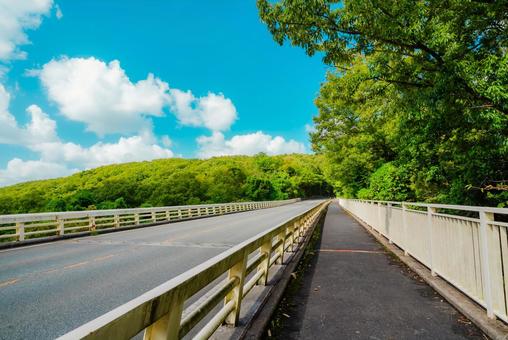 【鳥取】鳥取市の街並み 鳥取,鳥取市,tottoriの写真素材