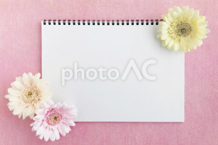 小さなスケッチブックと花のフレーム スケッチブック,リングノート,ノートの写真素材
