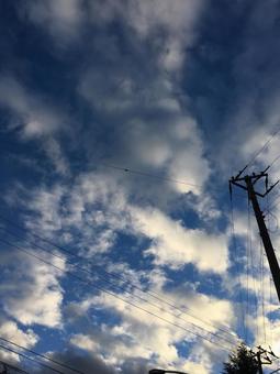 夕暮れ時の雲と電柱と木 夕暮れ時の雲と電柱と木の写真