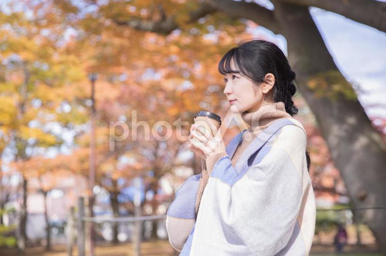 秋の公園でコーヒーを飲む女性（横顔） 珈琲,コーヒー,コーヒーブレイクの写真素材