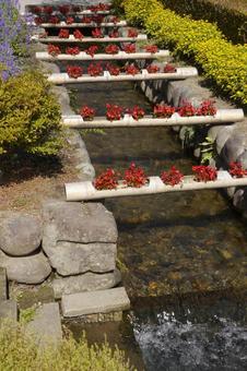 清らかな水路上の花壇 清らかな水路上の花壇の写真