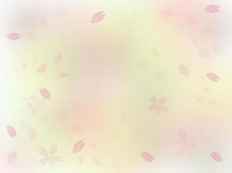 淡い背景と桜の壁紙 淡い背景と桜の壁紙の写真