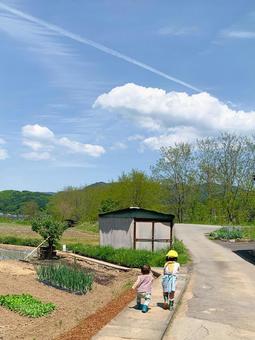 あぜ道を歩く子供たち あぜ道を歩く子供たち 子供,きょうだい,仲良しの写真素材