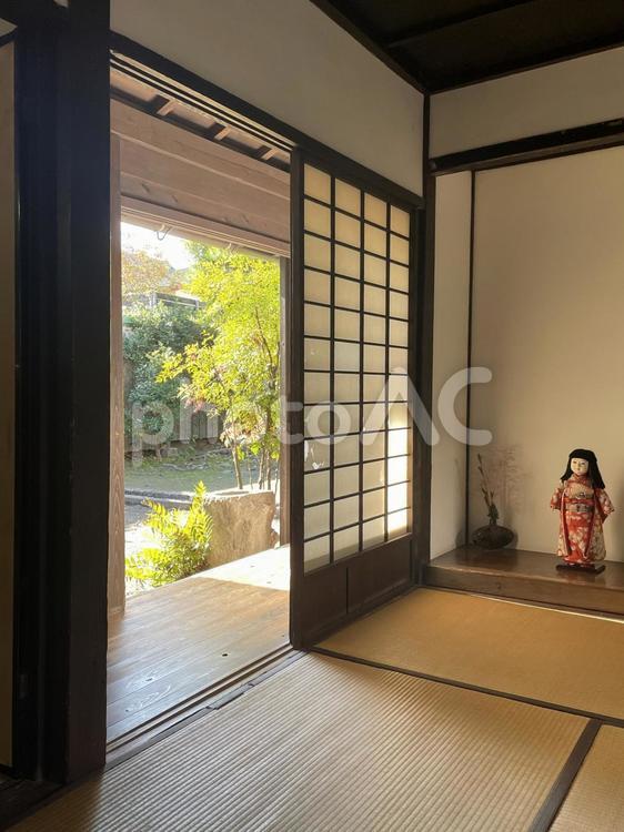 日本人形が飾られた和室から見える庭 和室,和風,日本の写真素材