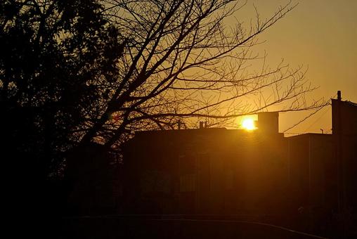 黄金色の冬の夕景 夕景,たそがれ,黄金色の写真素材