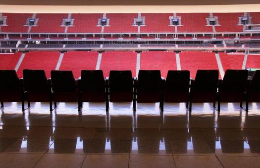 マネ・ガリンシャ・サッカー場の観客席 サッカー場,マネ・ガリンシャ,観客席の写真素材