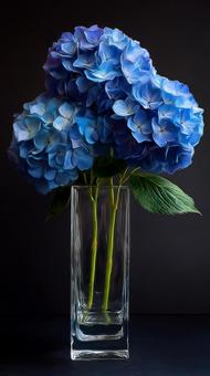 透明な花瓶に生けられた青いアジサイ 透明な花瓶に生けられた青いアジサイの写真