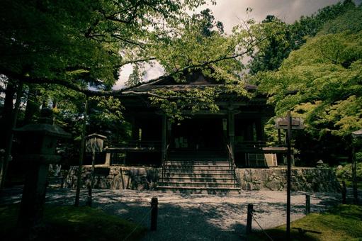 フィルムカメラ風の神社の写真 フィルムカメラ風の神社の写真 大原三千院,日本庭園,フィルムカメラ風の写真素材