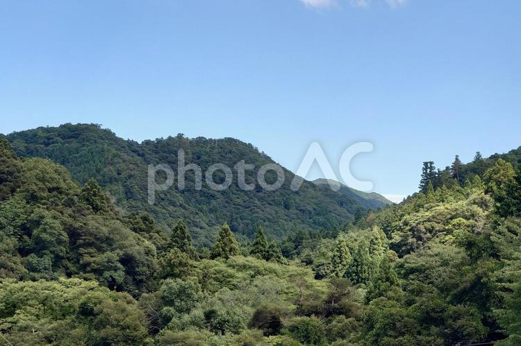 福井県-明通寺からの風景 明通寺,寺,棡山の写真素材