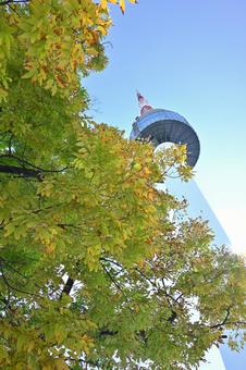 Nソウルタワー nソウルタワー,南山,韓国の写真素材