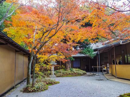 【神奈川県】鎌倉市・一条恵観山荘 【神奈川県】鎌倉市・一条恵観山荘 一条恵観山荘,紅葉,秋の写真素材