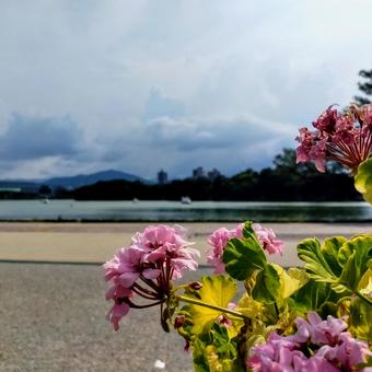 風景 風景 福岡,景色,自然の写真素材