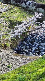 The nature of Kasumigaseki will envelop your soul, JPG The nature of Kasumigaseki will envelop your soul, JPG