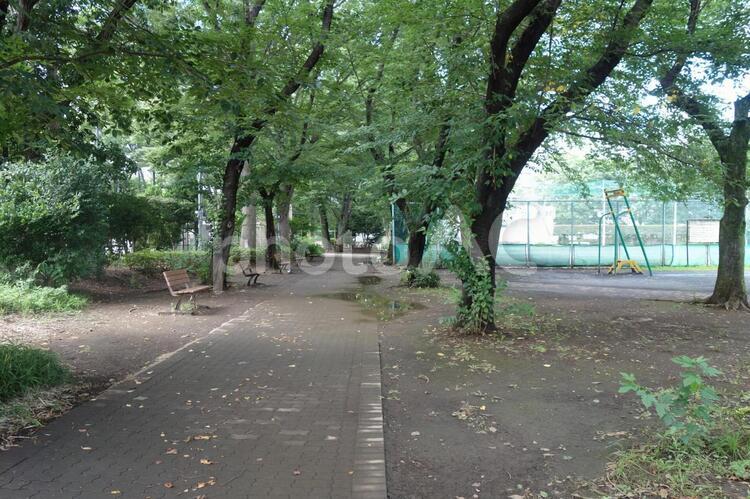 雨上がりの日本の公園 雨上がり,雨,雨の日の写真素材