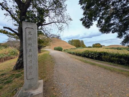埼玉古墳群 埼玉古墳群の写真