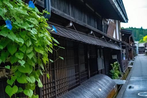 朝顔と飛騨高山の街並み 朝顔と飛騨高山の街並みの写真