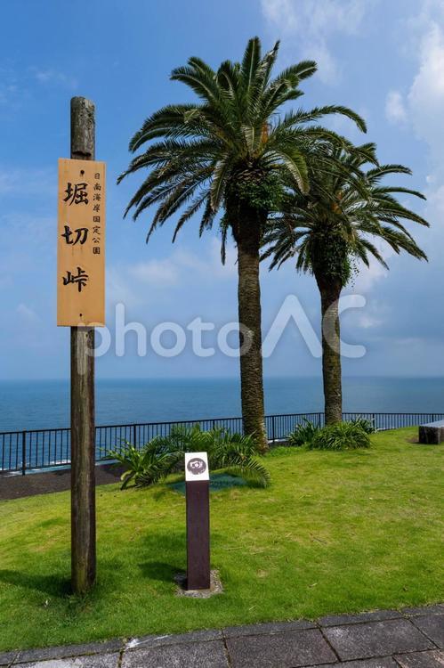 堀切峠 宮崎県宮崎市 南国,夏,青空の写真素材