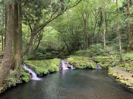 釣り場 釣り場の写真