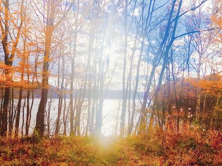 紅葉と湖 紅葉と湖の写真